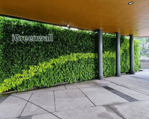 ผลงานสวนแนวตั้ง iGreenwall Project : โรงเรียนนานาชาติกรุงเทพ (ISB)