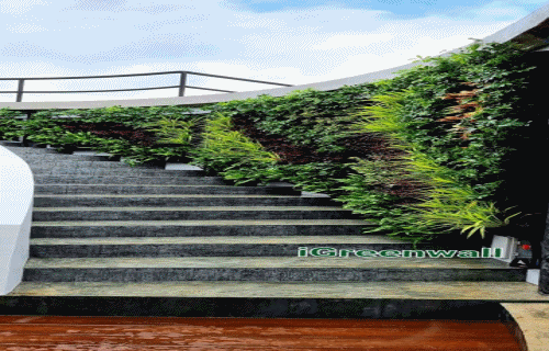 ผลงานสวนแนวตั้งiGreenwall Project : The Covent at Kanjanaburi