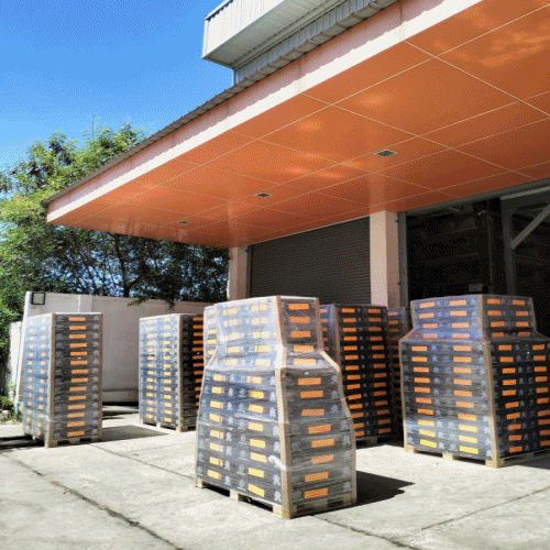 ผลงานของบริษัท พิริยะกุล จำกัด เตรียมจัดส่ง KR COPPER TUBE ท่อทองแดงม้วน