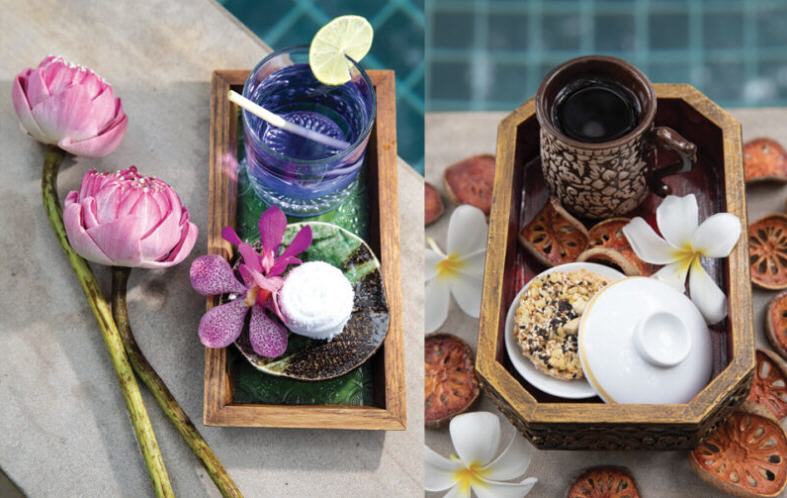 ‘Sense’ เชียงใหม่ ผนึก ดาราเทวี ผุด Wellness Club ปั้นฮับสุขภาพโลก